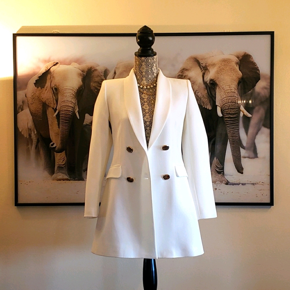 Zara double breasted buttoned frock coat